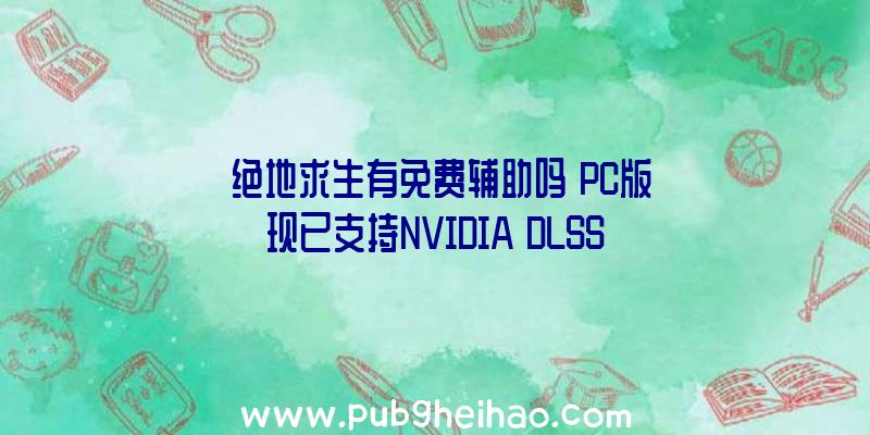 《绝地求生有免费辅助吗》PC版现已支持NVIDIA